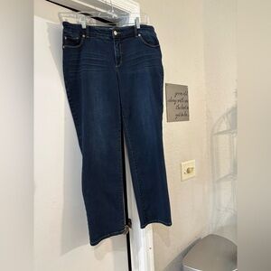 Chico’s Blue Jeans Zipper 2.5 Stretch.  Really Nice and So Comfy